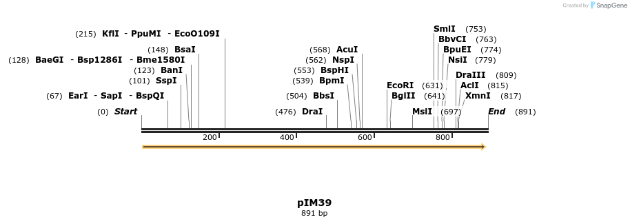 374707_map