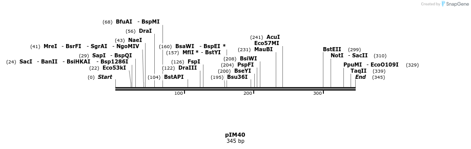 374709_map