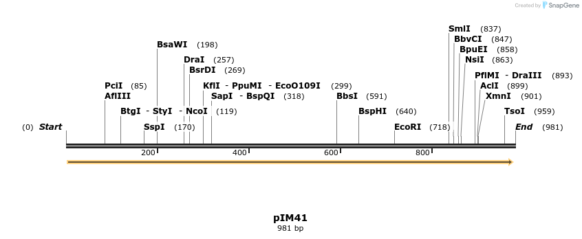 374711_map
