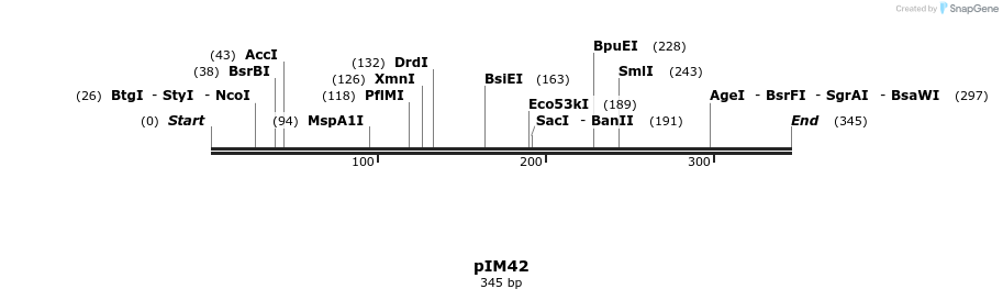 374713_map