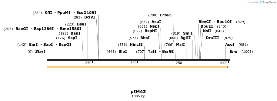 374715_map
