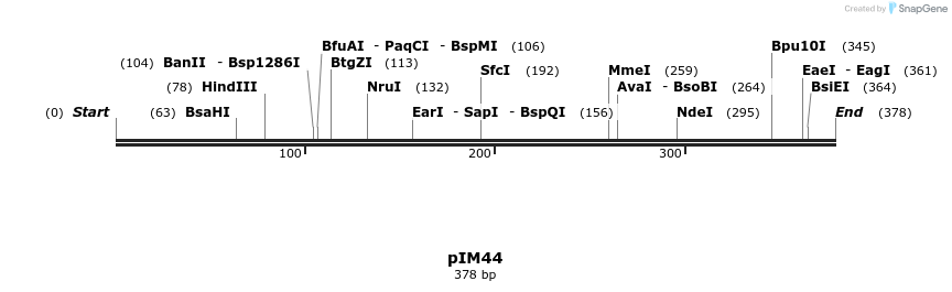 374717_map