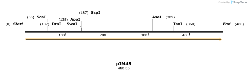 374719_map