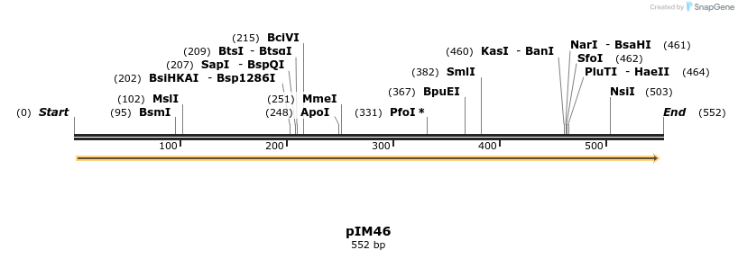 374721_map