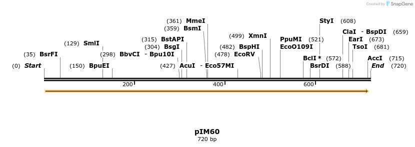 374725_map