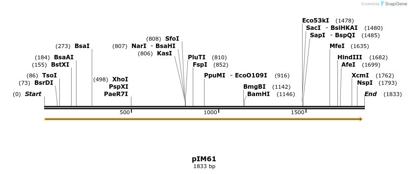 374727_map