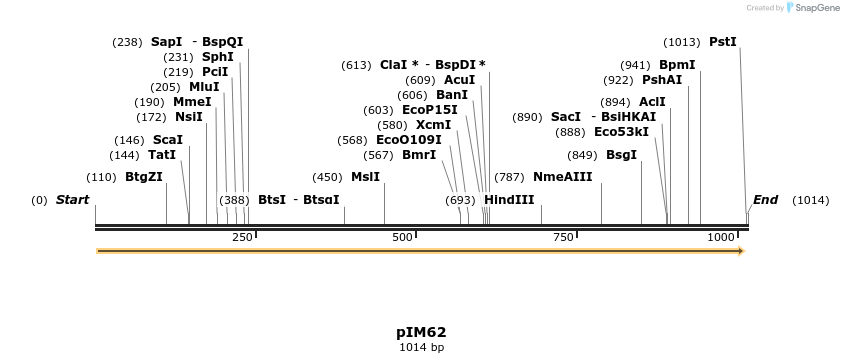 374729_map