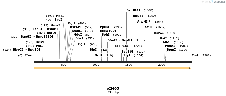 374731_map