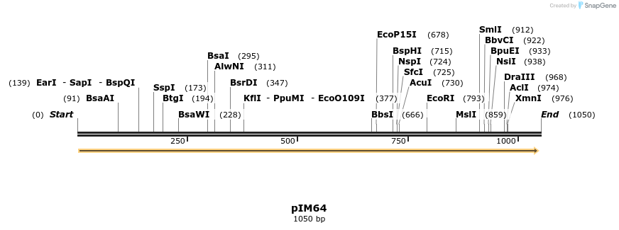 374733_map