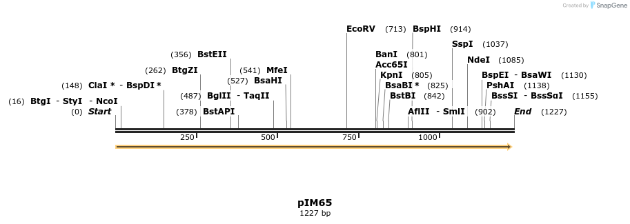 374735_map