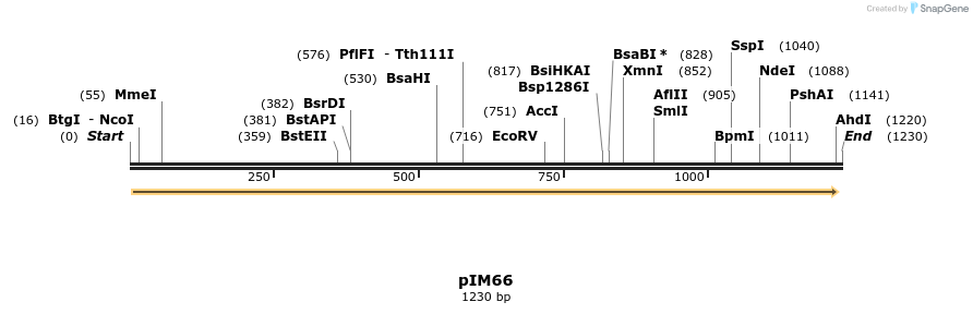 374737_map