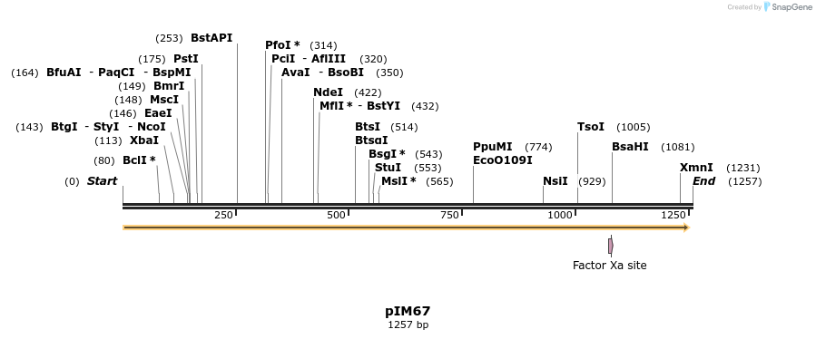 374739_map