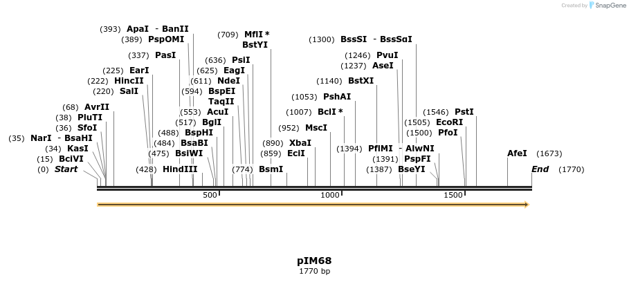 374741_map