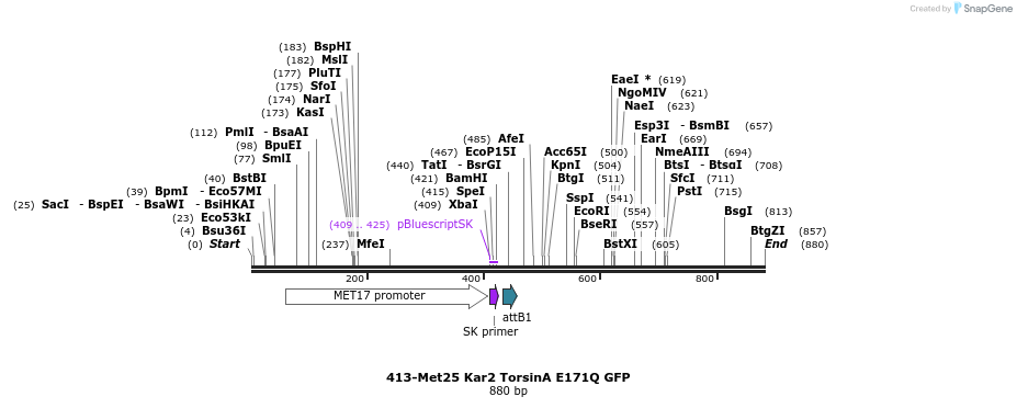 37475_map