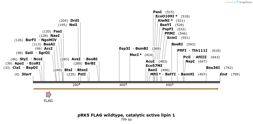 37477_map