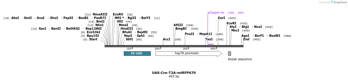 374778_map