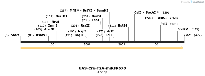 374779_map