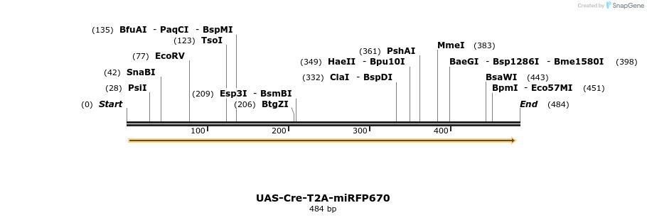 374780_map