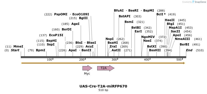 374781_map