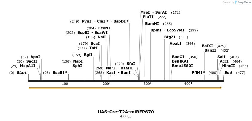 374782_map