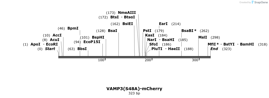 374888_map
