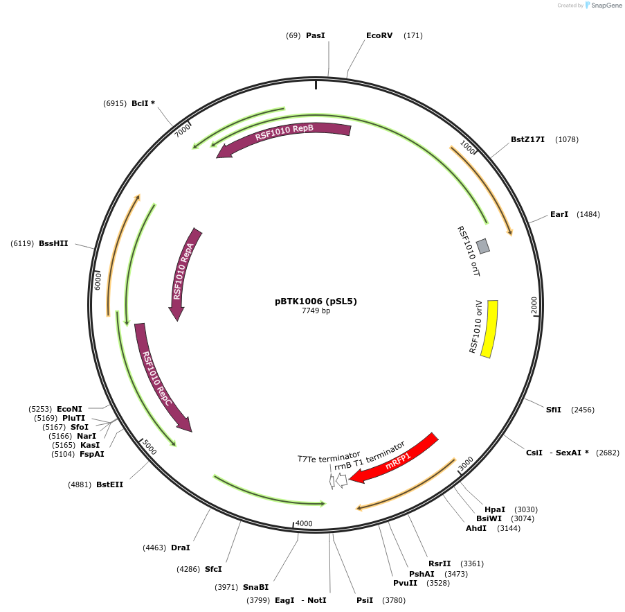 191001-plasmid-map-sequence-id-375010