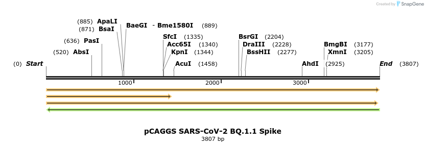 375028_map