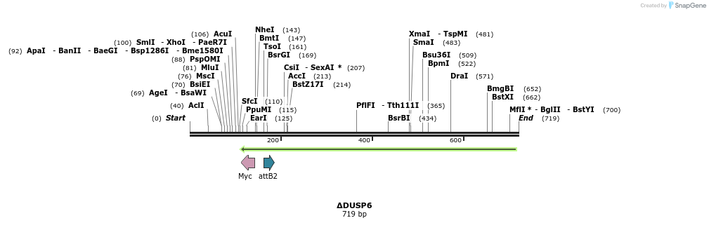 37503_map
