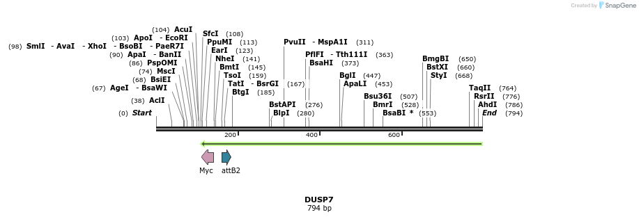 37505_map