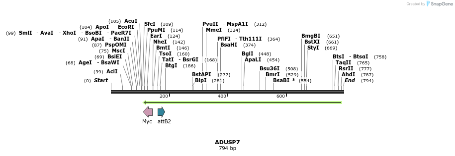 37507_map