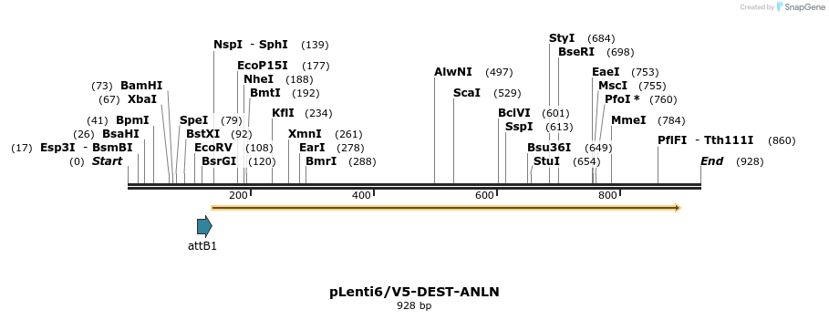 37508_map