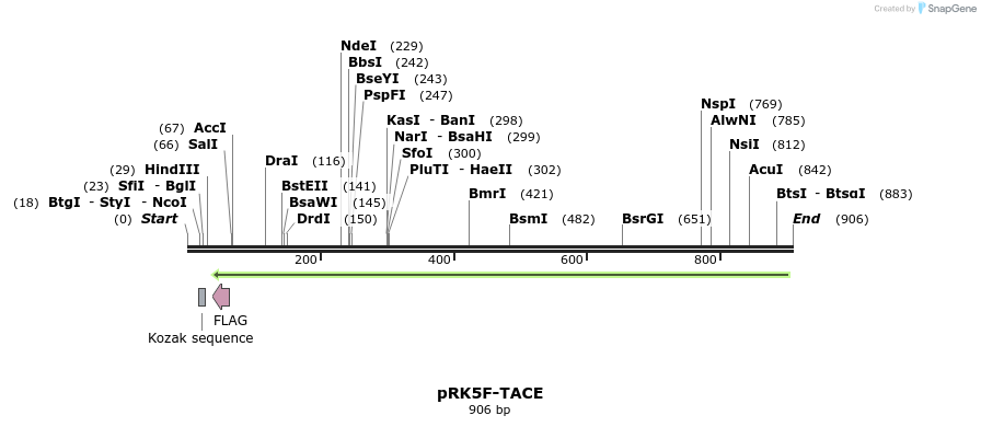 37511_map