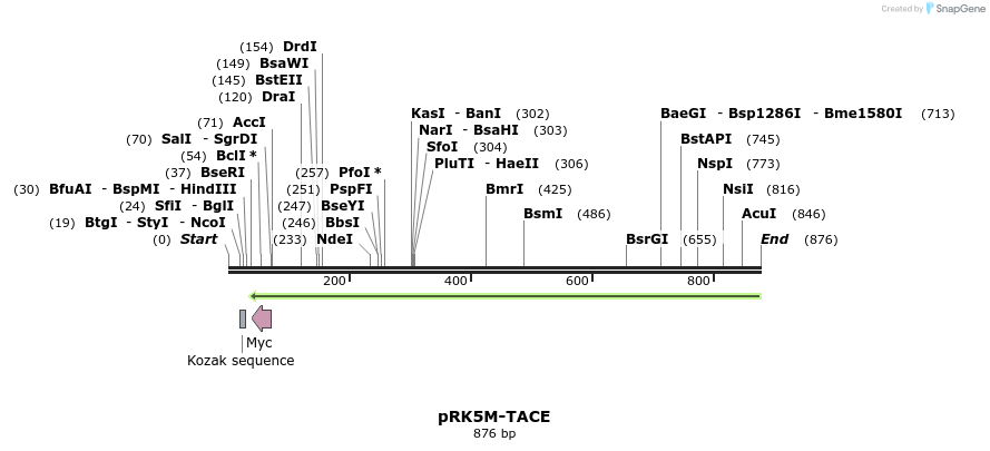 37512_map