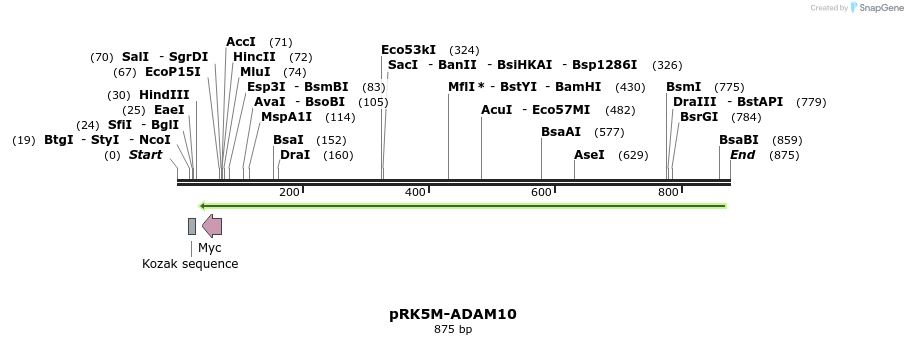 37516_map