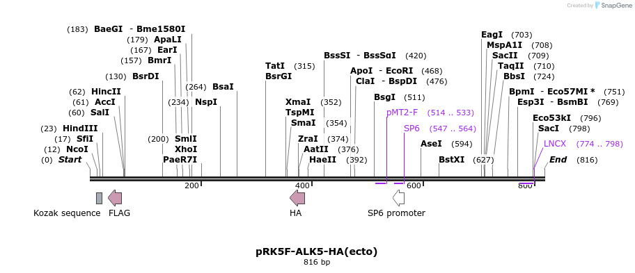 37518_map