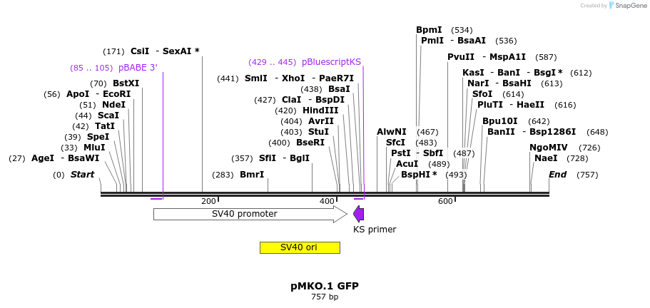 37520_map