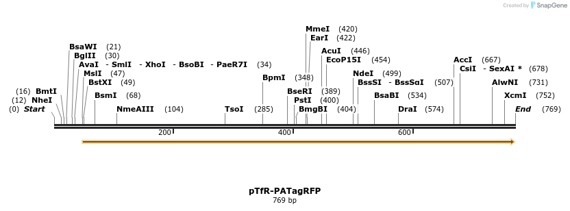37523_map