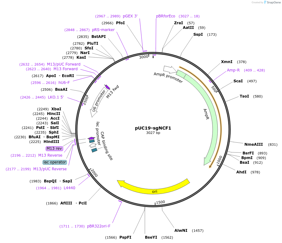 375281_map