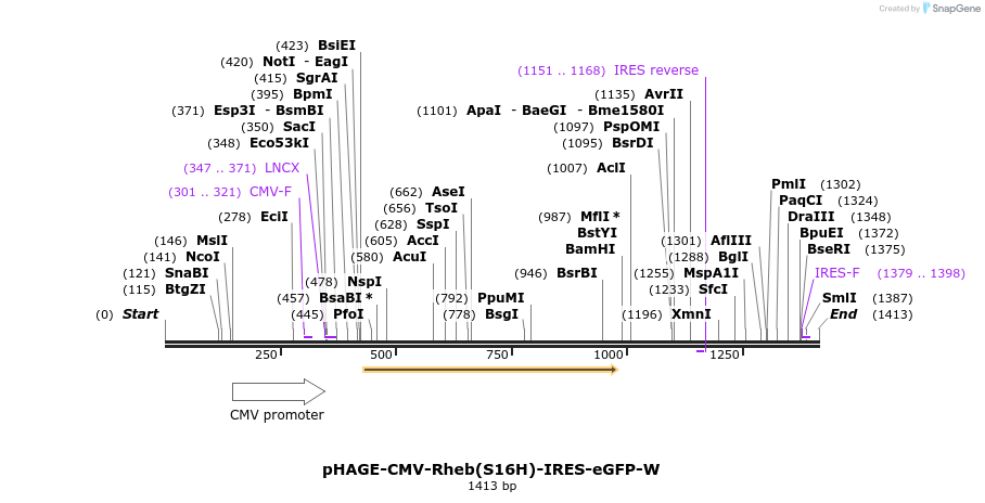 37529_map