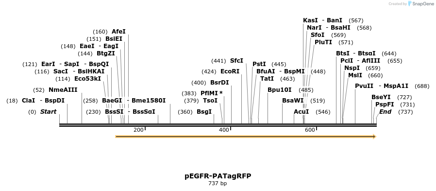 37533_map