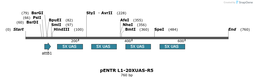 37534_map