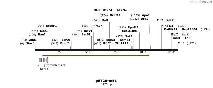 37536_map