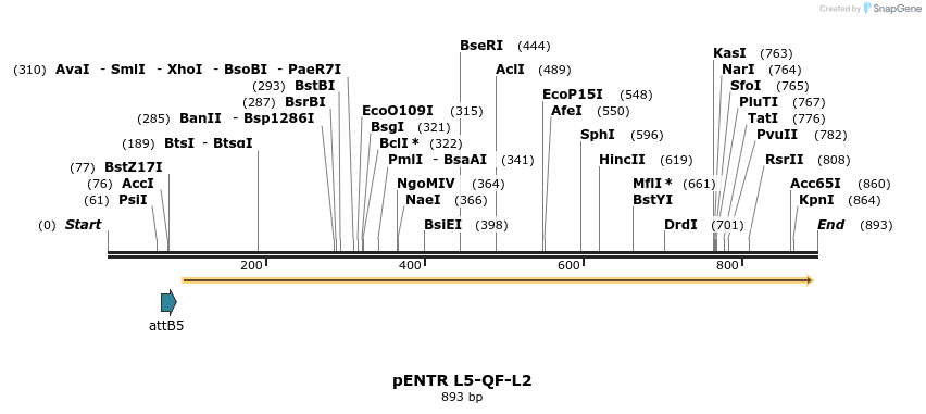 37540_map