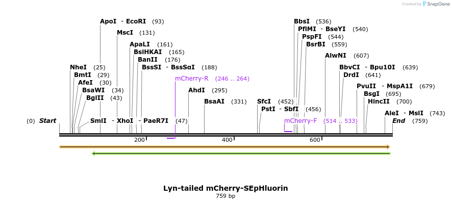 37546_map