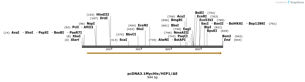 37560_map
