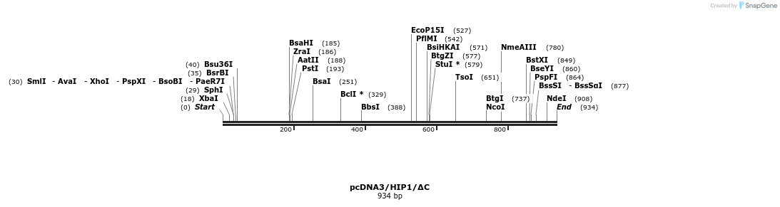 37561_map