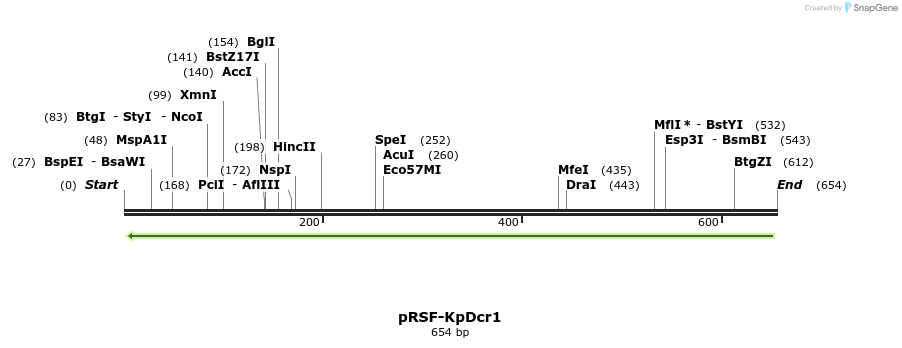 37565_map