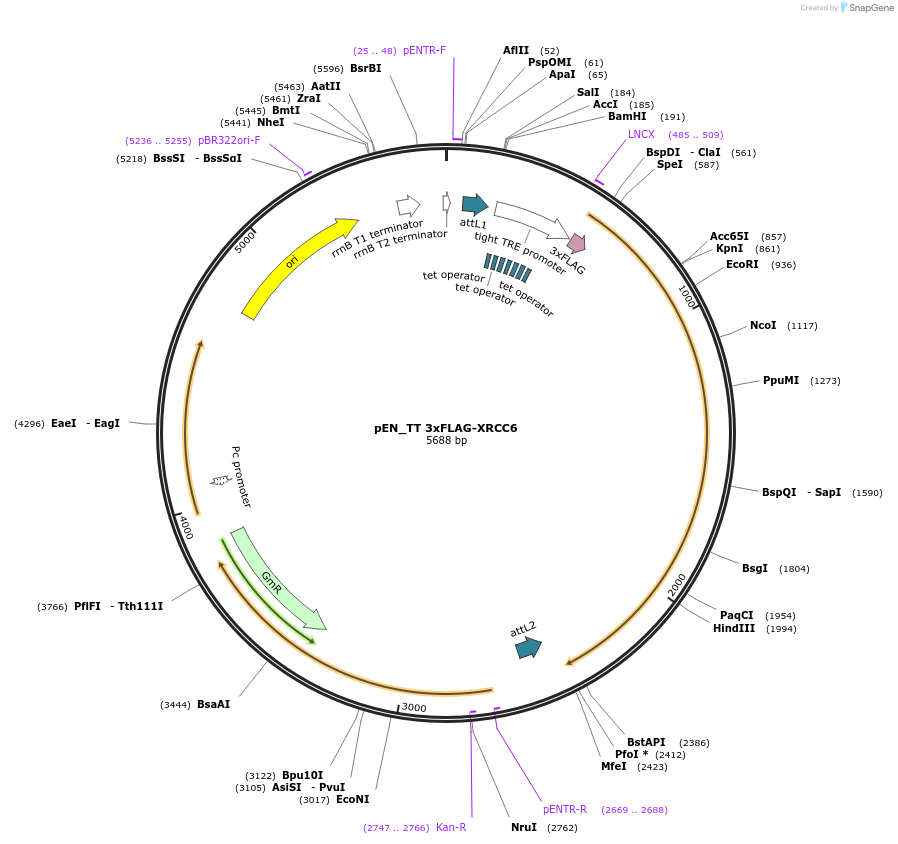375651_map