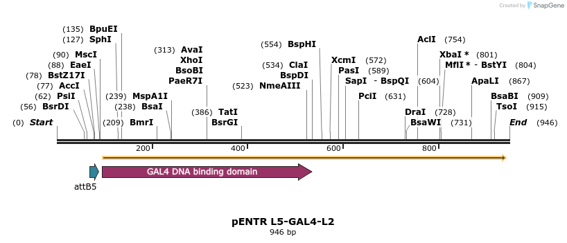 37570_map