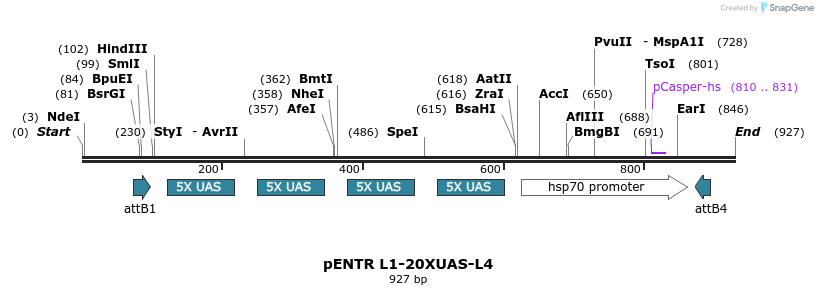 37571_map